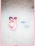 Sterre