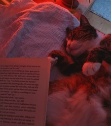 Luna