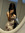 MJ31 | 28 comments