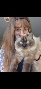 Patti