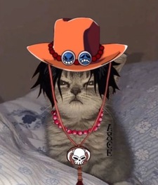 J
