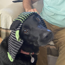 Max