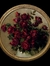 Islem Majdoub