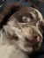 Elyse R...