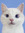 member photo member photo