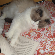 Reader emmaaa