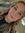 Shannon Hearne
