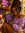Moonlight  Bree Reads