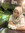 disya