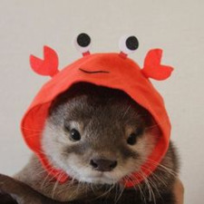 nathan