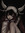 lyds ˙⋆...