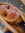 Alivia