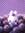 Flemon