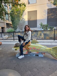 Aimee Perlstein