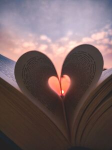 Reader