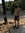 unceasing image