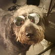 Ben