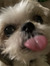 Maheen