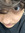 Percy Jackson