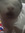 Thehamster