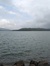 Vrukshali