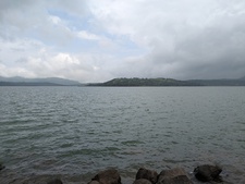 Vrukshali