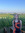 Anna Prüsmann