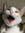 Amy