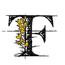 Flor do Toxo