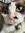 member photo member photo