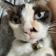 Janice