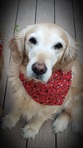 Jenny