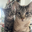 Marissa