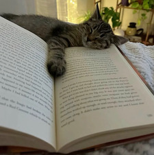 Mackenzie.Reads