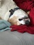 Mindy