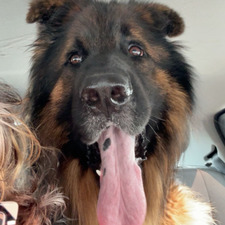 Rigby