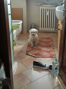 Fabrizio