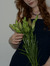 Nele Marie