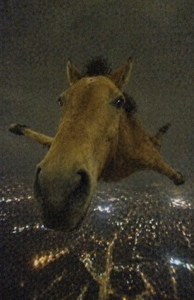 Yv