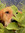 member photo member photo