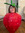 userstrawberry