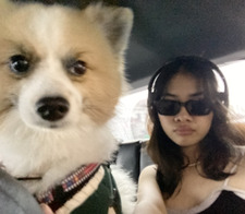 pom