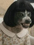 Christine
