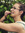 member photo member photo