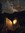 Quietnightreads