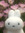 gabi ˚₊‧꒰ა ♡ ໒꒱ ‧₊˚