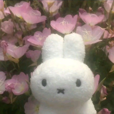 gabi ˚₊‧꒰ა ♡ ໒꒱ ‧₊˚