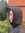 Clara Lo Helena
