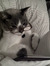Joanna