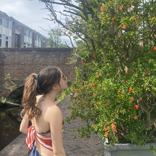 Flora